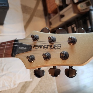 楽器 フェルナンデスのギターとアンプ（FERNANDES NATIVE と FERNANDES 