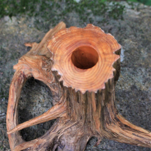 職人手作り▪️ヒノキの木の根の一輪挿し