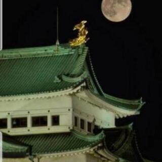 10月14日(月祝日)お月見ヨガin名城公園 - その他
