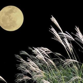 10月14日(月祝日)お月見ヨガin名城公園 − 愛知県