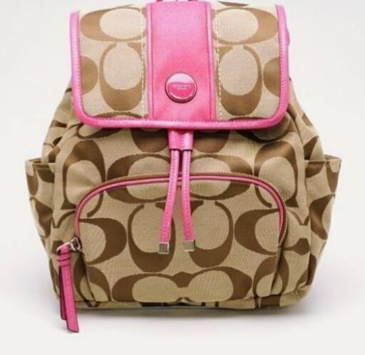 お買い得❗入手困難❗【日本完売 COACH バッグパック】正規品