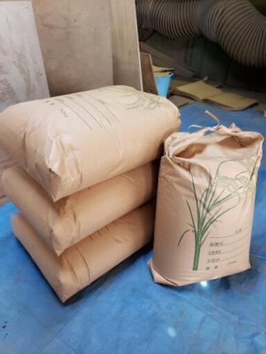 【限定2袋】平成30年度  茨城県産 コシヒカリ 30kg