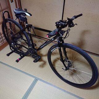 アラヤ マディフォックスCX 2019モデル 改