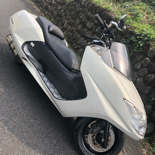 マグザム パールホワイト 東京