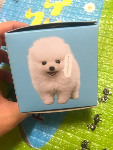 しゃべるギガちびストラップ 非売品 ソフトバンク えり プロフ必読 日暮里のおもちゃ ぬいぐるみ の中古あげます 譲ります ジモティーで不用品の処分