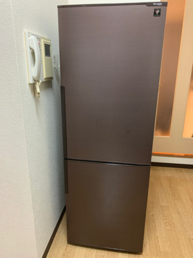 【2017年式SHARP冷蔵庫】プラズマクラスター 271リットル シャープ