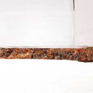 0597 花梨 瘤杢 葡萄杢 コブ杢 一枚板 無垢 花台 飾台 盆栽