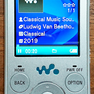 WALKMAN　NW-S636F