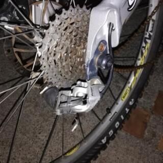 キャノンディール　レフティー