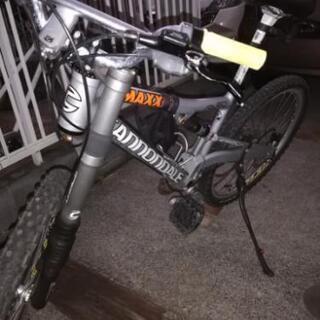 キャノンディール　レフティー