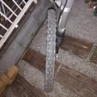 キャノンディール　レフティー