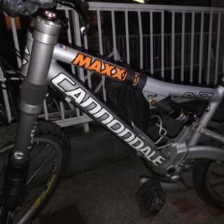 キャノンディール　レフティー