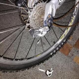 キャノンディール　レフティー