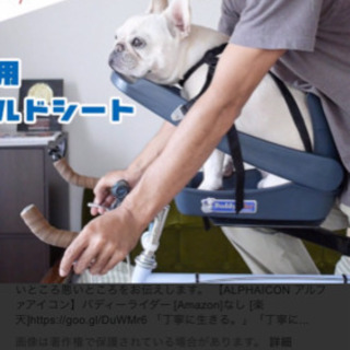 バディーライダー    ２１０００円