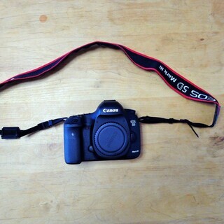 CANON EOS 5D Mark IIIまとめ売り