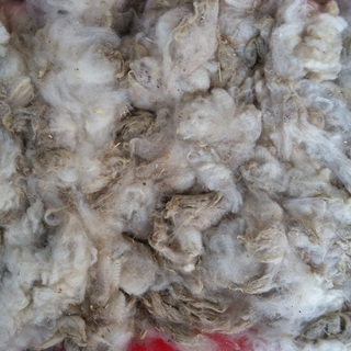 洗っていない羊毛が１キログラムにつき１０００円、全部で約５ｋｇあり。