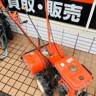 ロシアンスモークモルモット ロシアンモルモット キャンベルハムスター