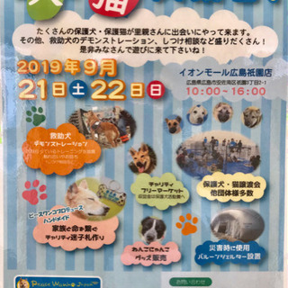 動物愛護週間 保護犬・保護猫 大集合 イベント