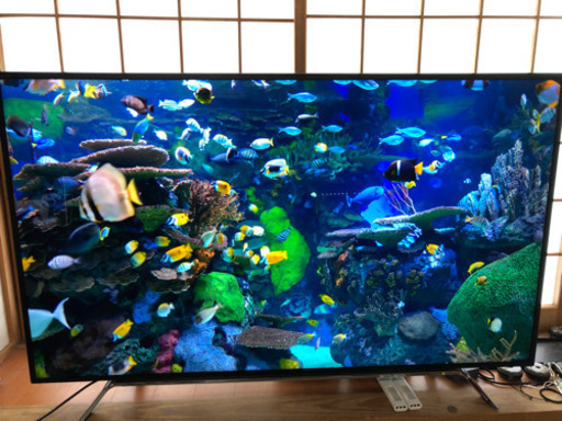 東芝4K HDR対応 58インチ大型テレビ 引き取り値引き有り 58Z20X