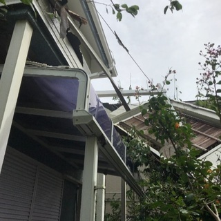 台風被害 雨樋 屋根剥がれ ブルーシート 改修工事します。の画像