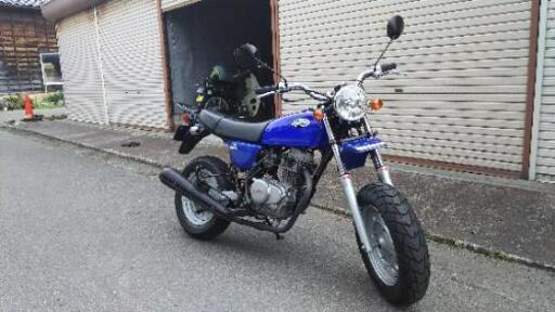 ホンダエイプ100、程度良し、ほぼノーマル