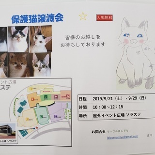保護猫譲渡会☆イオンモ－ルつくば　9.21&.9.29