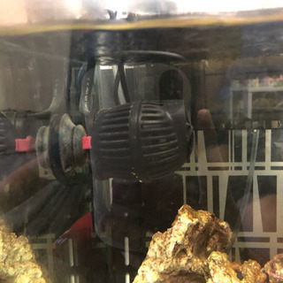 海水水槽一式セット