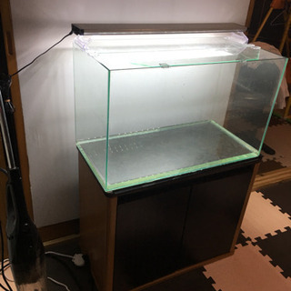 取引中 60水槽セット 早い方優先