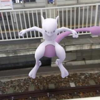 ポケモンGoの仲間