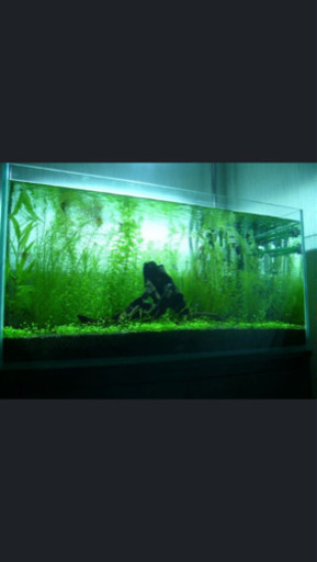 コトブキ レグラス900Ｌ  90cm水槽