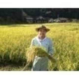 令和元年 島根県産コシヒカリ100％ 奥出雲 玄米30kg×5