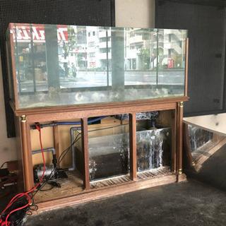 《引取限定》ガラス水槽 w150