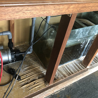 《引取限定》ガラス水槽 w150