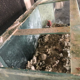 《引取限定》ガラス水槽 w150