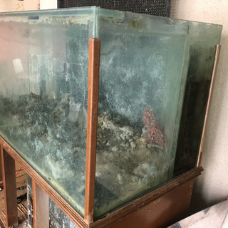 《引取限定》ガラス水槽 w150