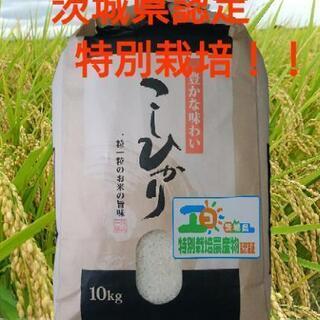 茨城県認定 特別栽培   新米 こしひかり 