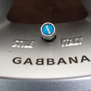 RAYS　VERSUS　GABBANA