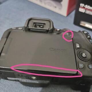 CANON kiss X9 すぐ使える・三脚・防湿BOX・手入れ道具もセット！