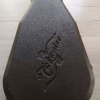 Takamine　エレアコ　FD460SC&ハードケース