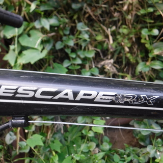 GIANTのクロスバイクESCAPE RX　中古自転車 253