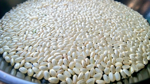茨城県産コシヒカリ　玄米30kg