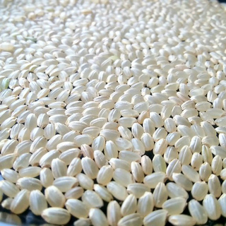 茨城県産コシヒカリ　玄米30kg