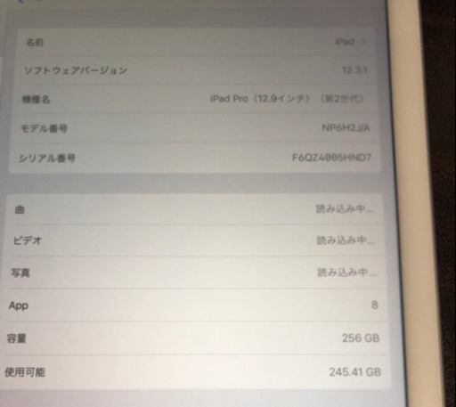 iPad Pro 12.9インチ 第二世代 256Gb スペースグレイ Wifi | alviar.dz