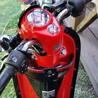 タイホンダスクーピー110