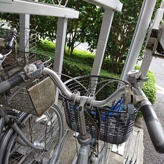 1月3日まで延長 この日にいなくなるのでこの日までに来れる方限定 