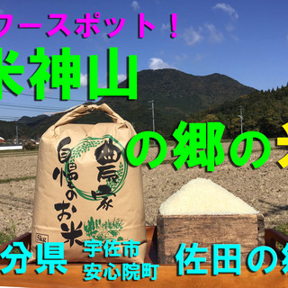 【安心院の奥地で育ったお米】令和元年・新米  ひのひかり