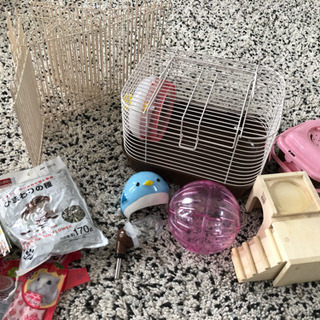 ハムスター飼育セット