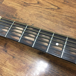 左利き用アコースティックギター MORRIS(モーリス) F-01LHTS 【公式通販】