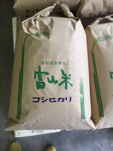 令和元年度 コシヒカリ新米
