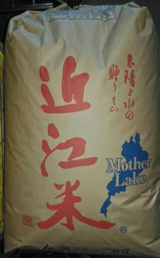 令和元年キヌヒカリ30キロ玄米